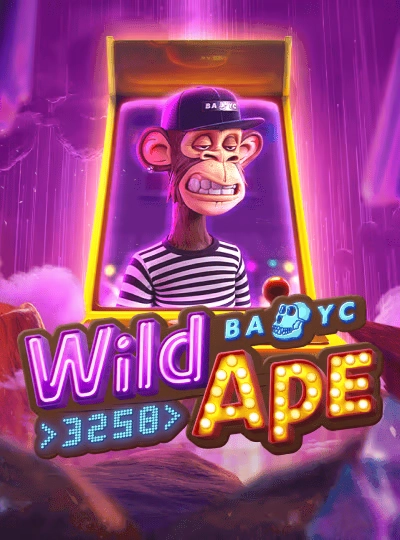 rr666 rr666